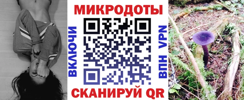 это наркотические препараты  Новошахтинск  Галлюциногенные грибы MAGIC MUSHROOMS 